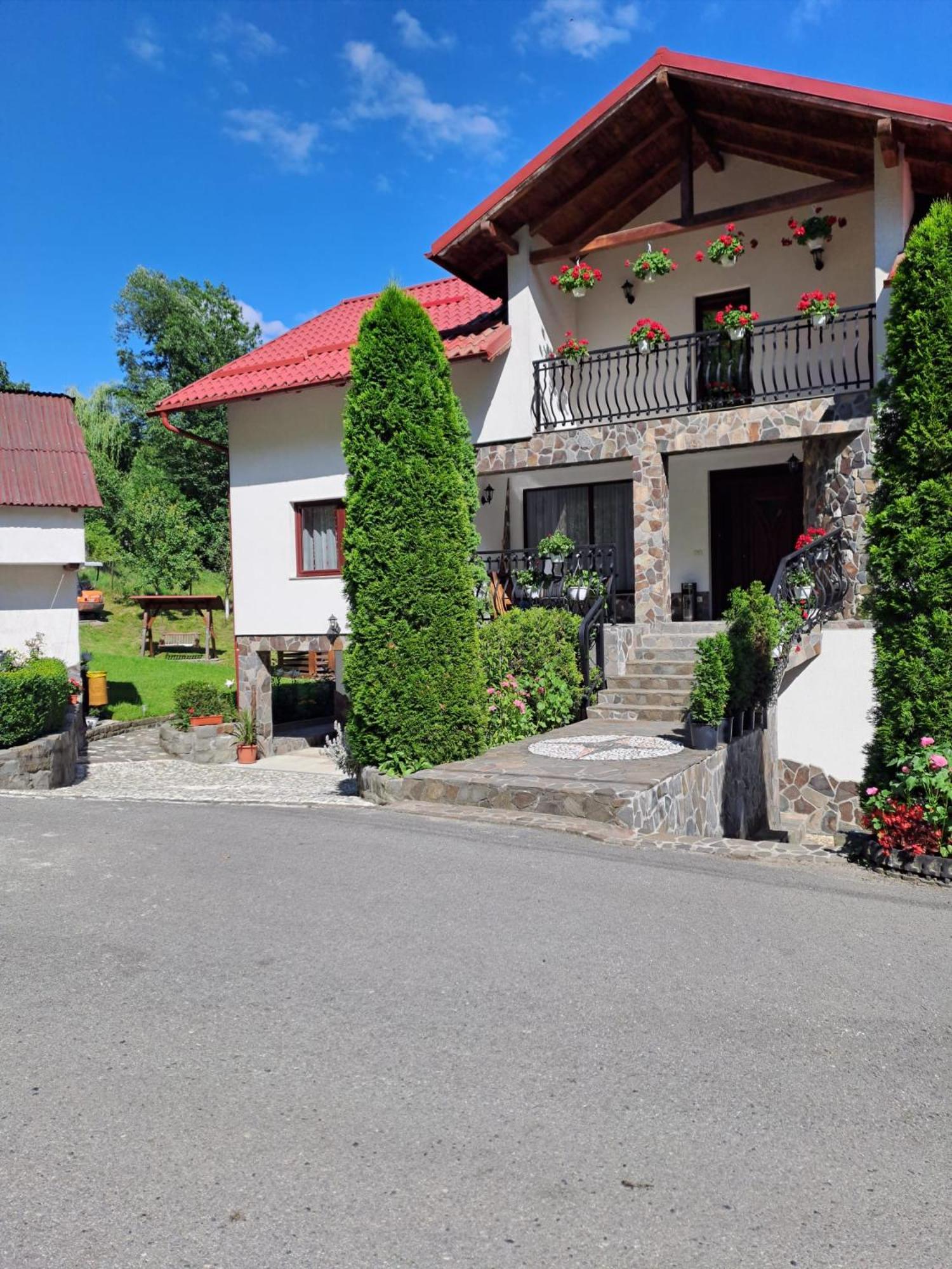 Casa Alba Βίλα Borşa Εξωτερικό φωτογραφία